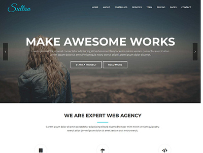 Sultan - One Page Business WordPress Theme landing page wordpress theme wordpress theme