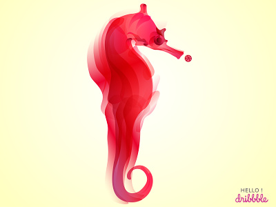Hippocampus animal design illustration sea vector