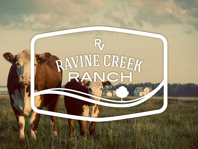 Ravine Creek Ranch Logo cattle hereford logo ranch south dakota