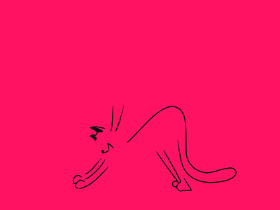 Stretching cat design hand drawn illustration stretching