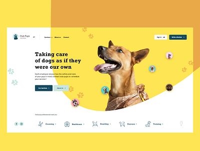 Club Pops UI concept For dogs club design dogs landing page pops ui uidesign uiux ux uxdesign web design