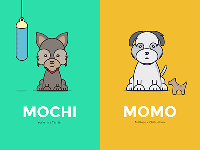 Momo & Mochi chihuahua dog illustration maltese puppy yorkshire