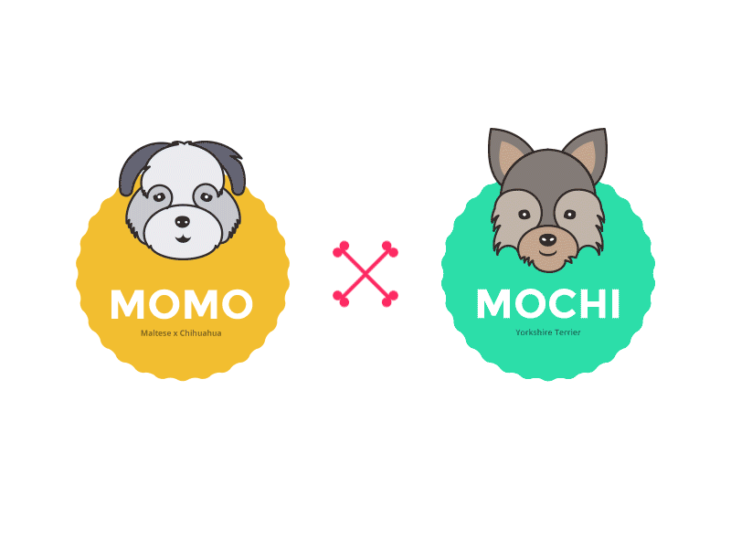 Momo & Mochi Web