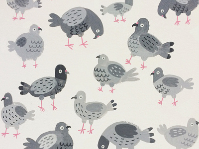 Pigeon Pattern