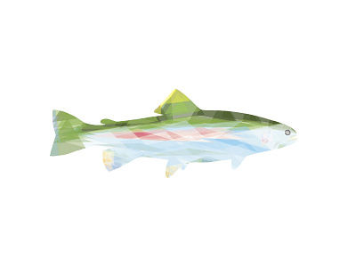 Rainbow Trout fish fly fishing illustration transparent triangle trout vector