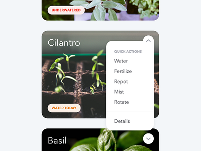 A girl can dream: gardening app