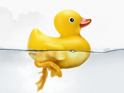 Give life to your ideas ! duck photo photo manipulation transformation water webdesign