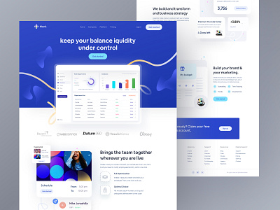 Software Landing Page 02