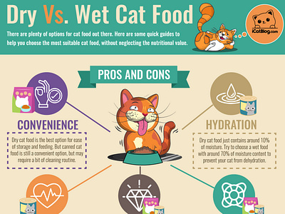 CAT INFOGRAPHIC