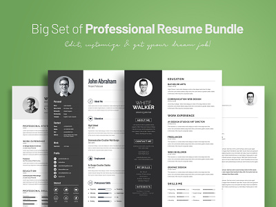 Big Set of Professional Resume Bundle 3d animation graphic design professional resume ui