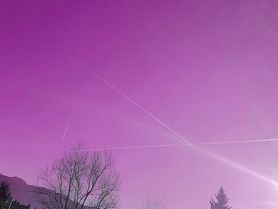 Pink > Blue landscape photo photoshop pink planetrail simple sky skypink tree