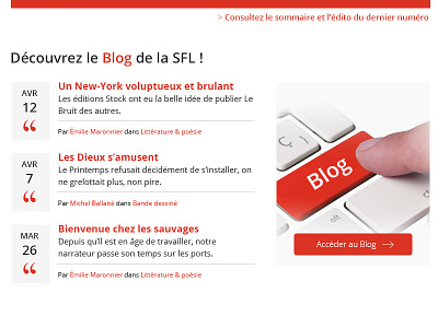 SFL Webdesign 3 ecommerce flat fnac home icons magento menu photo webdesign