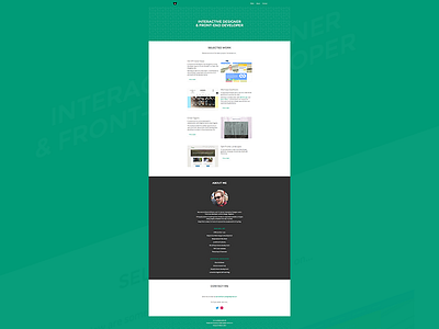 Portfolio bear clean flat list minimal portfolio responsive ui web web design