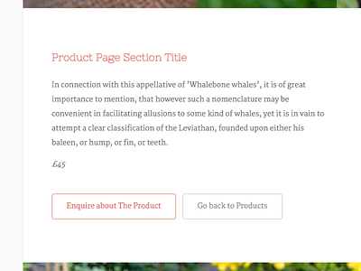 Product Page Section Title button call to action keyline martel minimal nixie one