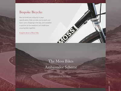 Moss Bikes Website Concept - Homepage Mid bicycle bikes concept gradient homepage landscape website