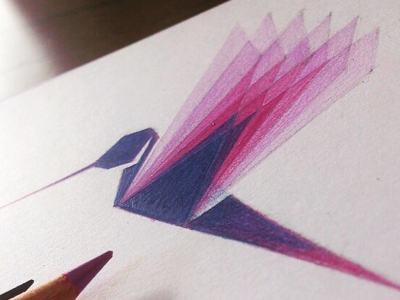 : : Hummingbird .