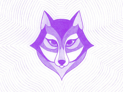 Wolf illustration pencil wolf