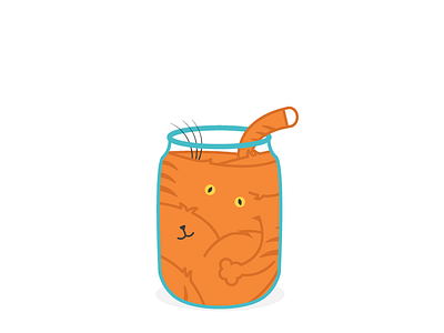 Regular liquid cat can cat fur jam jar kitten liquid