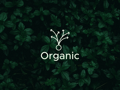 Organic Minimalist Logo Design | Investment Logo | Letter O Logo