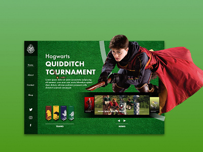 Hogwarts Quidditch Tournament