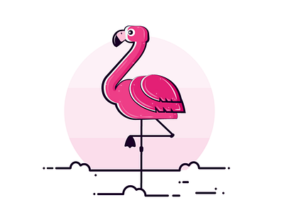 Flamingo