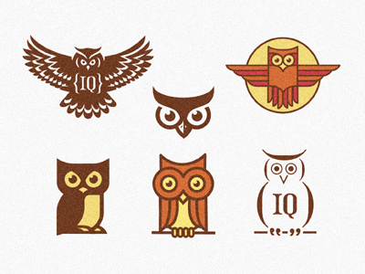 6 owls