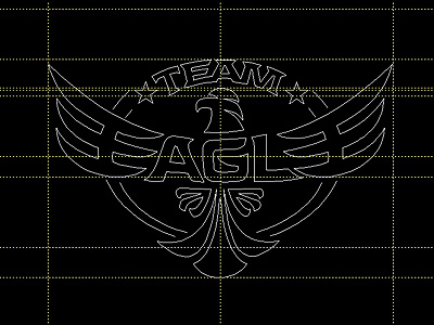 Team Eagle eagle logo