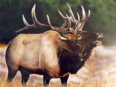 Elk bugle colored pencil.logomotive elk