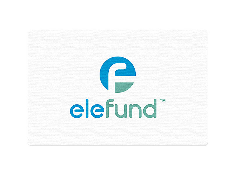 elefund logo monogram.unused mike erickson logomotive f e logo