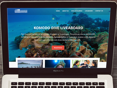 Diving Official Website blue clean clear coral diving elegant sea web webdesign website