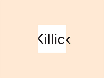 Killick Co. Identity apercu minimal modern negative space pastel square typography