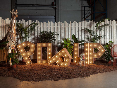 Interior Design for the Safari Pop Up - CCI