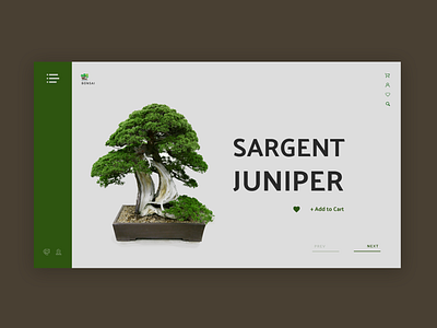 Plant shop Website concept