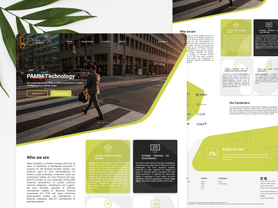 Company UI Web Concept / IT Company branding business company design finance grafic illustration page pagedesign ui ux vector web webdesign