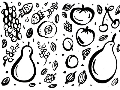 Fruits from the dacha garden apples black and white brush drawn family food fruits garden grapes hand drawn pear strawbeery summer
