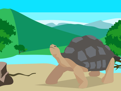 Tortoise near the river minimal flat vector artist turtle vector illustration illustrator nature river tortoise illustration