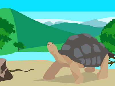 Tortoise near the river artist flat illustration illustrator minimal nature river tortoise turtle vector vector illustration