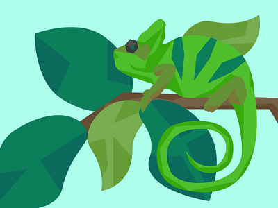 Chameleon art chameleon flat flat illustration green illustration illustrator minimalistic reptile vector