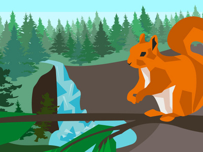 Squirrel animal flat forest illustration illustrator minimal nature squirrel