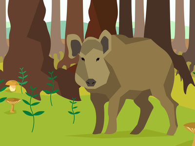 Wild boar in the forest animal art boar flat forest illustration illustrator minimal nature vector wild wildlife