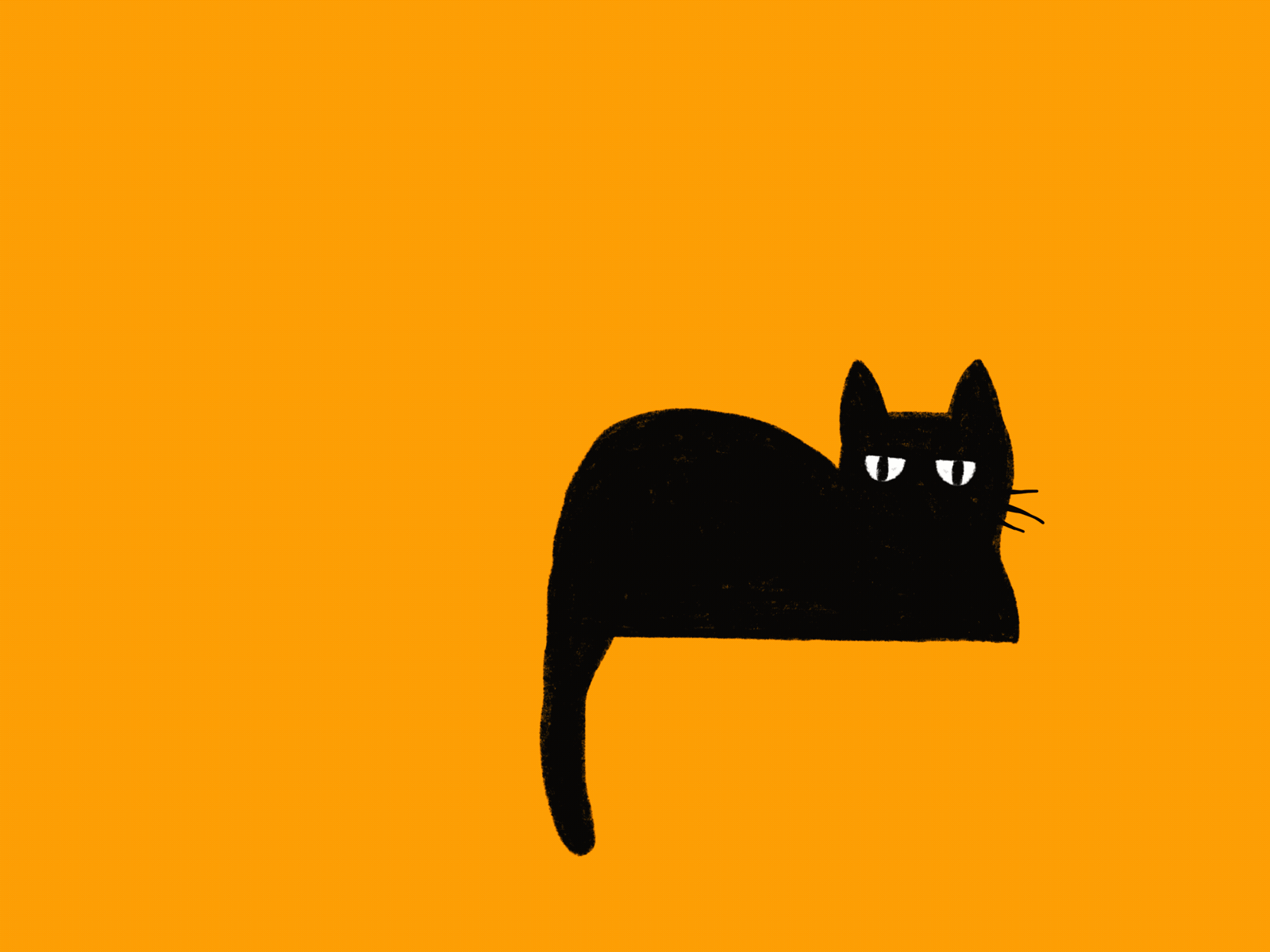 black cats don't scare anything black boo! cat ghost gif animation halloween procreate spooky