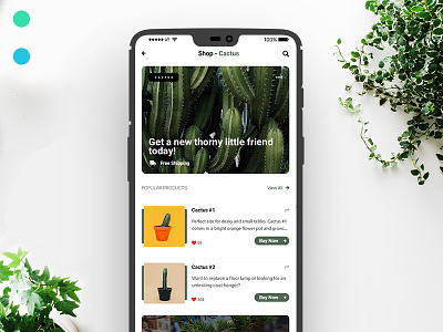 Plant E-Commerce App design ecommence plants typography ui userinterfacedesign ux
