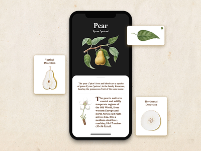 Pear Botanical App UI design plant illustration sketch app typography ui userinterfacedesign