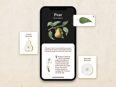Pear Botanical App UI