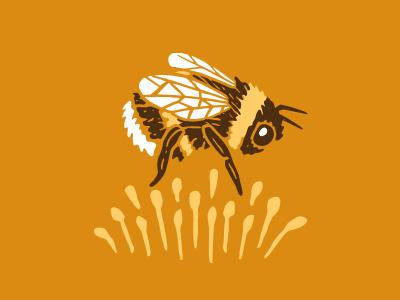 Bumble bee honey