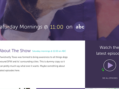 homepage design concept for new local tv show