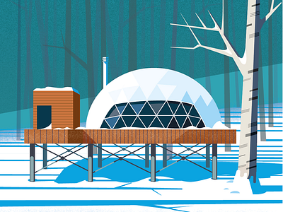 Unused geo dome illustration from my Time cover. #time