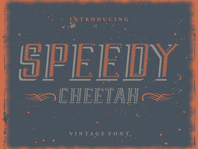 Speedy Cheetah - Vintage Font alphabet calligraphy font font awesome font design logo retro font typeface typography vintage vintage font