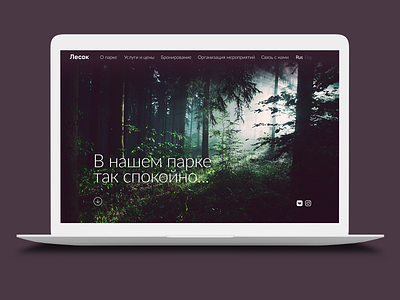 "Lesok" website concept design ui website