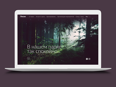 "Lesok" website concept